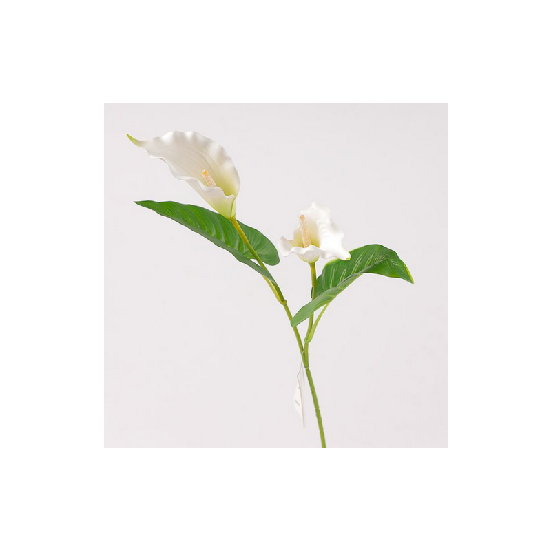 RAMO CALLA X 2 CM 69 - WHITE W1