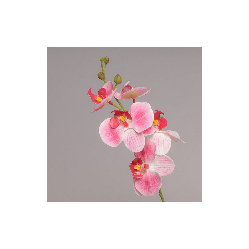 RAMO MINI ORCHIDEA X 5 CM 44 - PINK 04PR