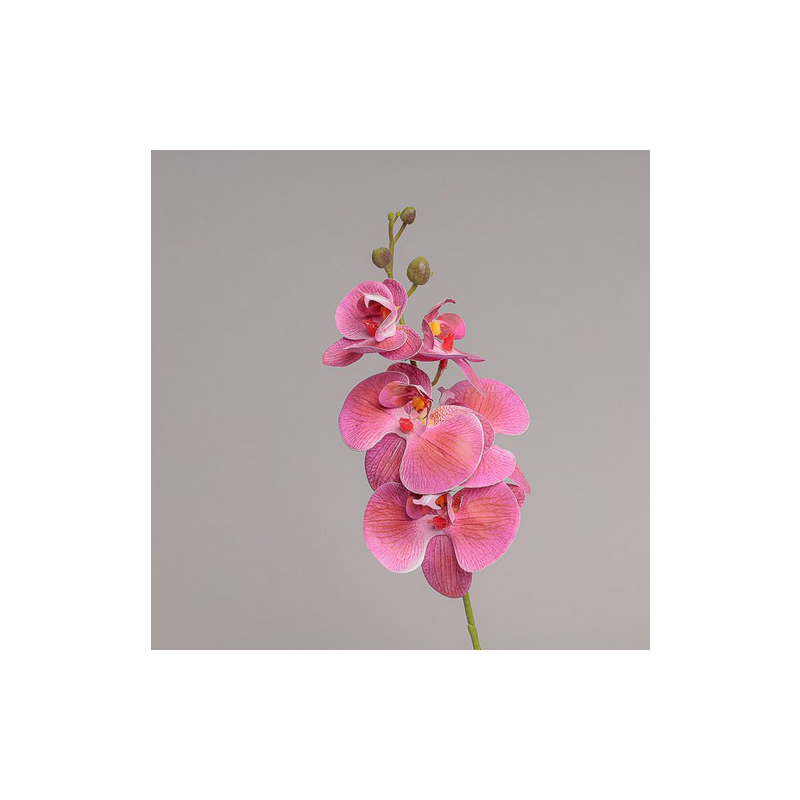 RAMO MINI ORCHIDEA X 5 CM 44 - PURPLE PU80