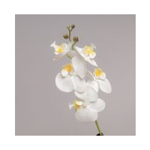 RAMO MINI ORCHIDEA X 5 CM 44 - WHITE WH82