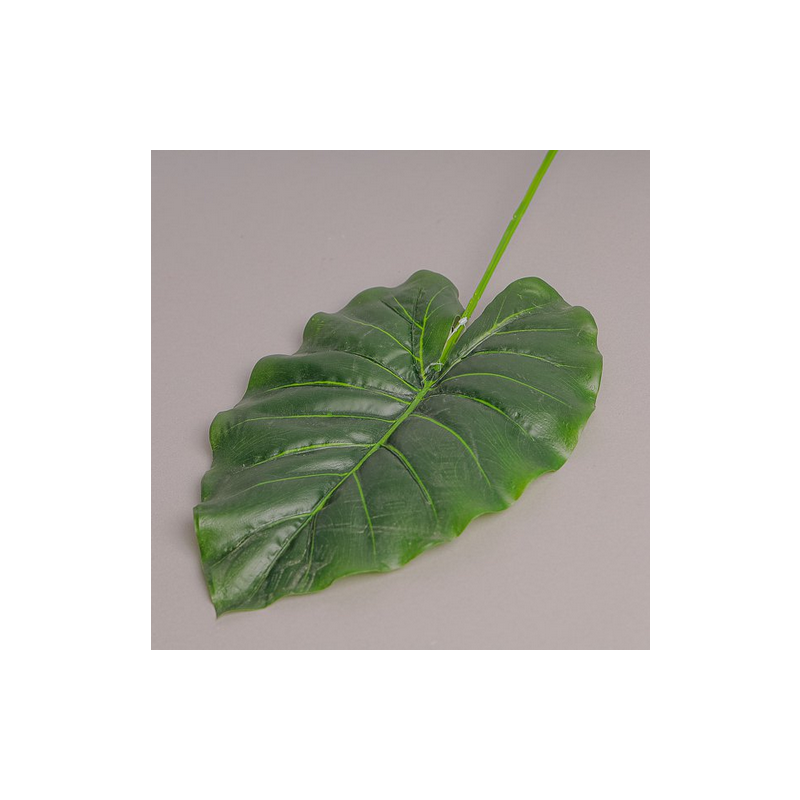 FOGLIA TARO PICCOLA CM 67 - NO COLORE