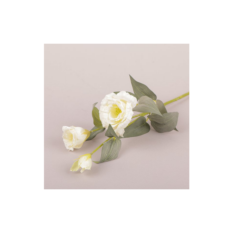 RAMO LISIANTHUS X 2 CM 70 - CREAM NG001