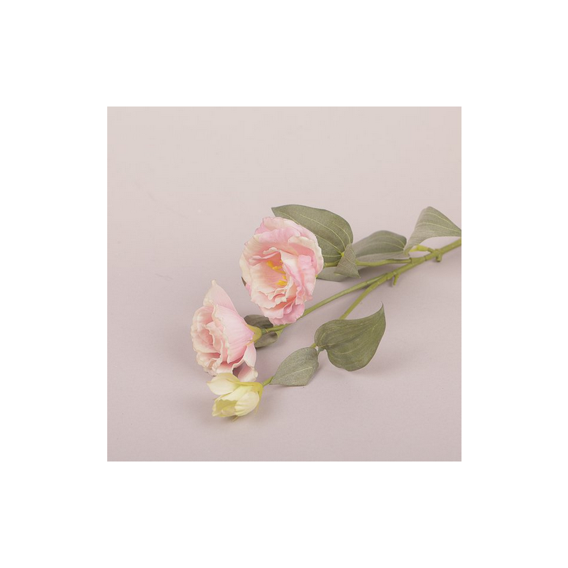RAMO LISIANTHUS X 2 CM 70 - PINK NG006
