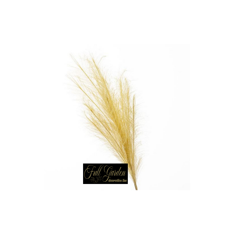 RAMO PAMPAS  CM.85 BEIGE