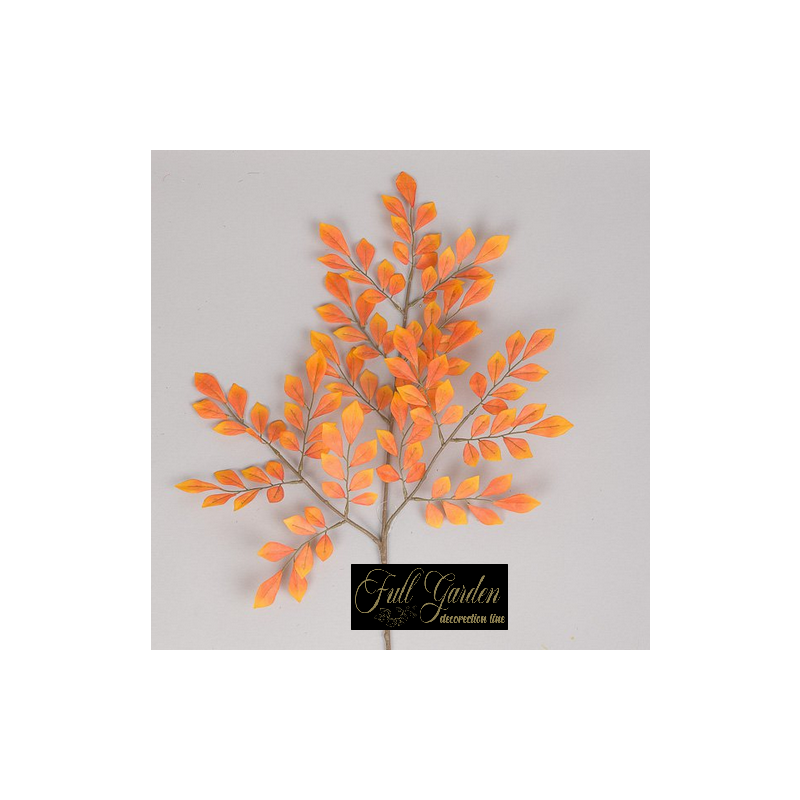 RAMO NIN FICUS CM.64 ORANGE