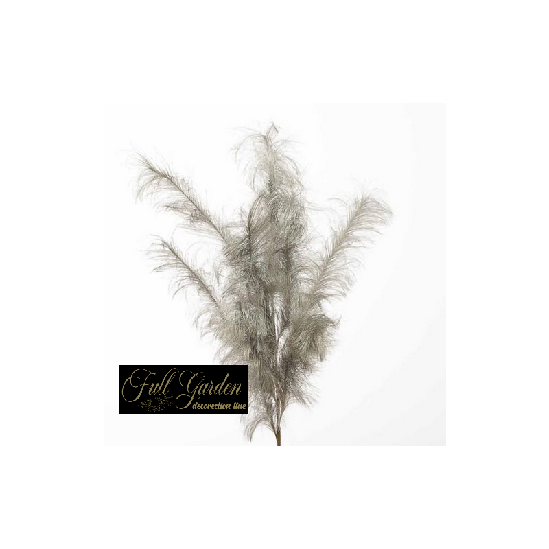 RAMO PAMPAS  CM.140 CHAMPAGNE