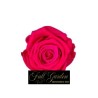 ROSE STABILIZZATE X 8  FUXIA