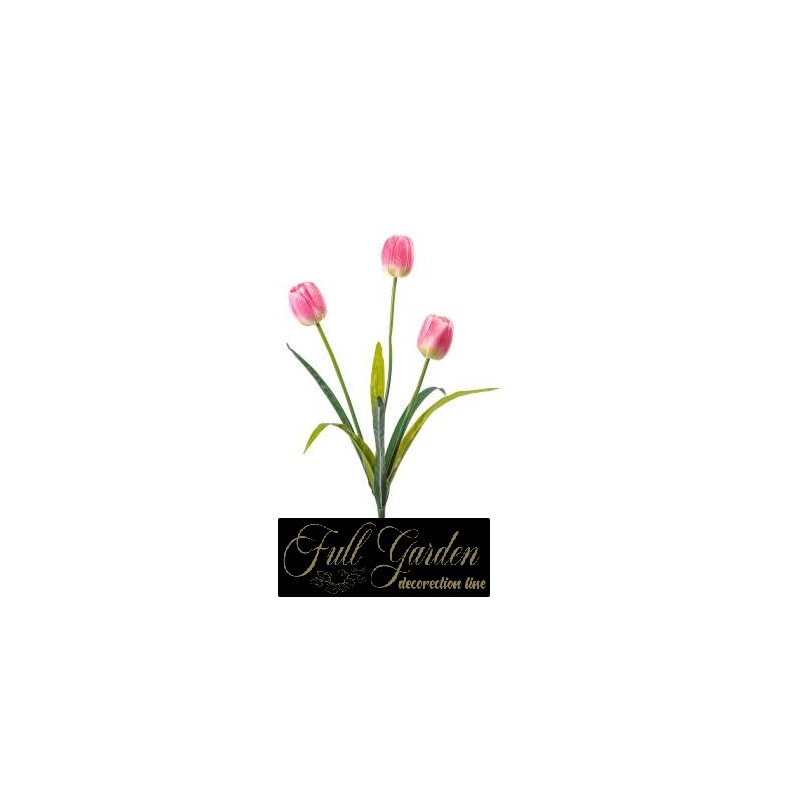 TULIPANO X 3 CM.48 PINK