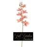 PHALENOPSIS NATURAL TOUCH PEACH CM 87