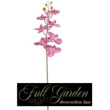 PHALENOPSIS NATURAL TOUCH  ORCHID CM 87