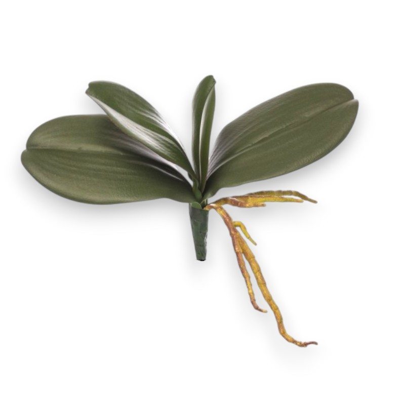 FOGLIE ORCHIDEE X 4 CM 22
