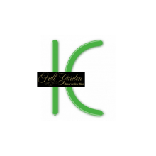 PALLONCINI MODELLBILI  VERDE  22  PZ100