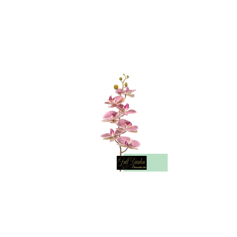 PHALENOPSIS NATURAL TOUCH PINK CM 87