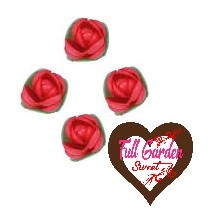 BOCCIOLI DI CIALDA ROSSI 4 PZ GRAZIANO