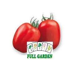 POMODORO RIO GRANDE (SEMI) GR.20