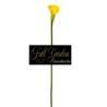 CALLA SINGOLA NATURAL TOUCH CM.78 YEL
