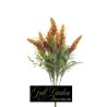BUSH ASTILBE X 9 CM 55 YELLOW
