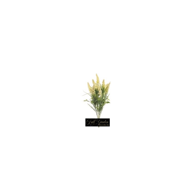BUSH ASTILBE X 9 CM 55 CREMA