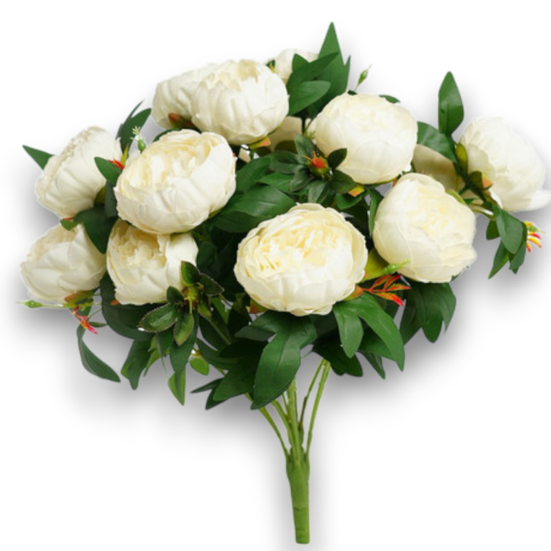 BUSH PEONIA X 15 BIANCA