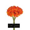 BOUQUET 9 GERBERE H.CM.33 ARANCIO