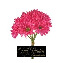 BOUQUET 9 GERBERE H.CM.33 LILLA