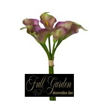 BUNDLE CALLA GOMMA X 7 H.CM.30 PURPLE