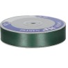 NASTRO RASO MM 12X100 MT GREEN