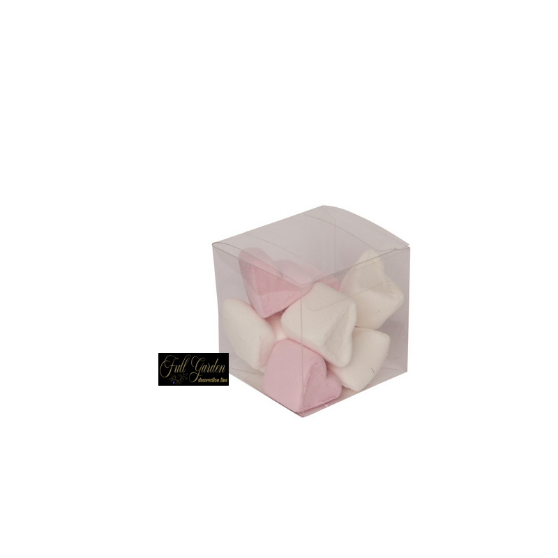 SCATOLA  PVC CM6X6X6PZ 10