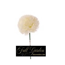 PICK PON PON DM 3 WHITE