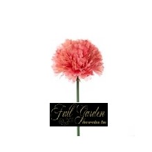 PICK PON PON DM.CM.3 PINK