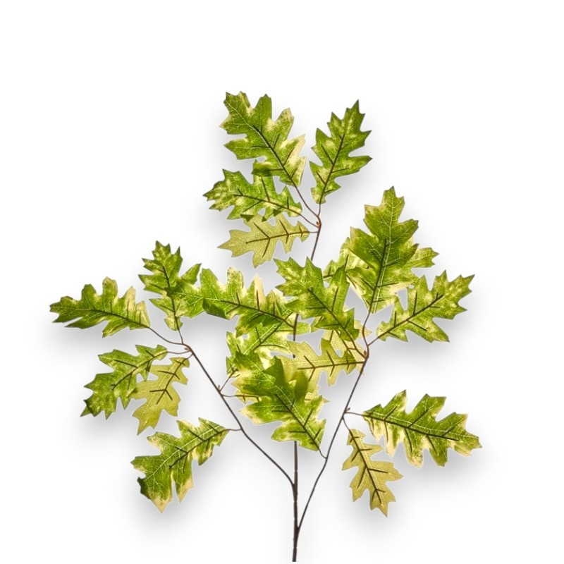 FOGLIAME QUERCIA X 21 CM.62