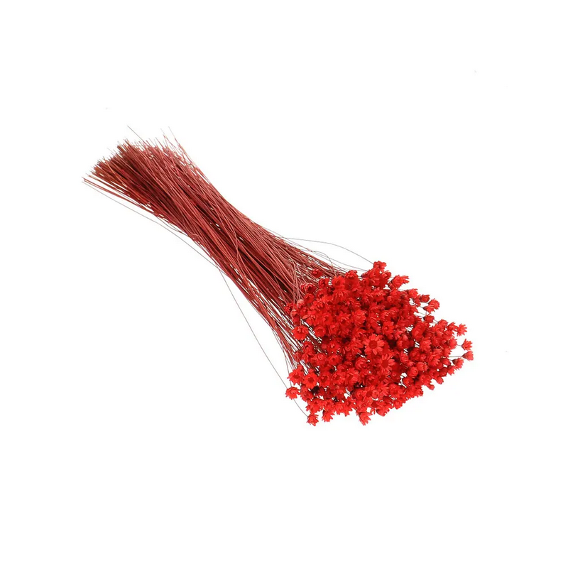 °°°GIXIA X 50 GR  ROSSO