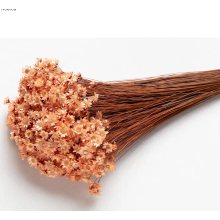 °°°GIXIA X 50 GR  SALMONE