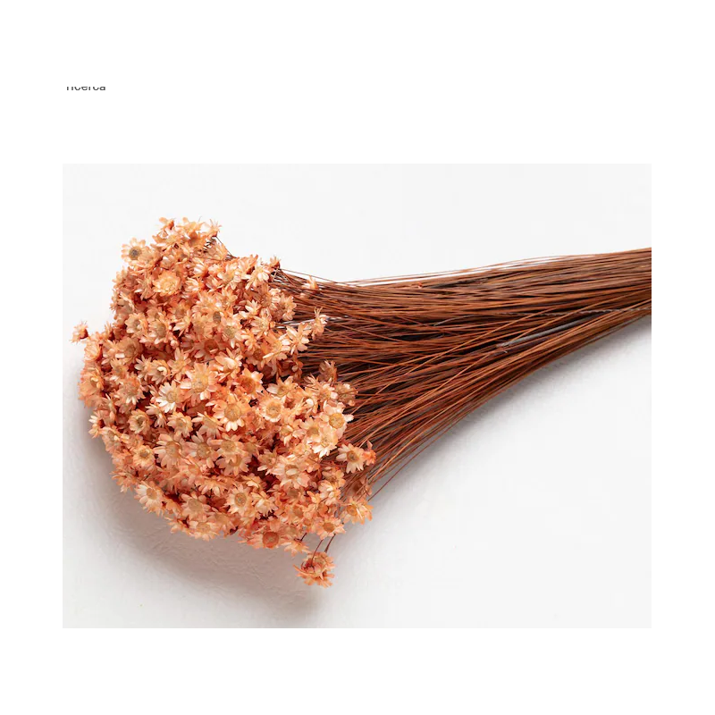 °°°GIXIA X 50 GR  SALMONE