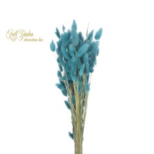 °°°LAGURUS GR.100 CARTA DA ZUCCHERO