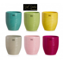 CASPO SEATTLE  D.13H.14 ASSORTITI