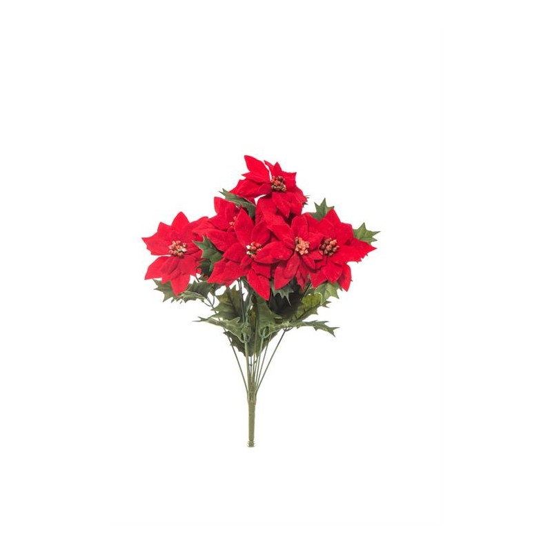 BUSH MINI  POINSETTIA  X 9  CM.37