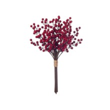 TRALCIO BACCHE CM.45  RED