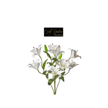 BUSH  LILIUM X9 WHITE