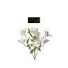 BUSH  LILIUM X9 WHITE