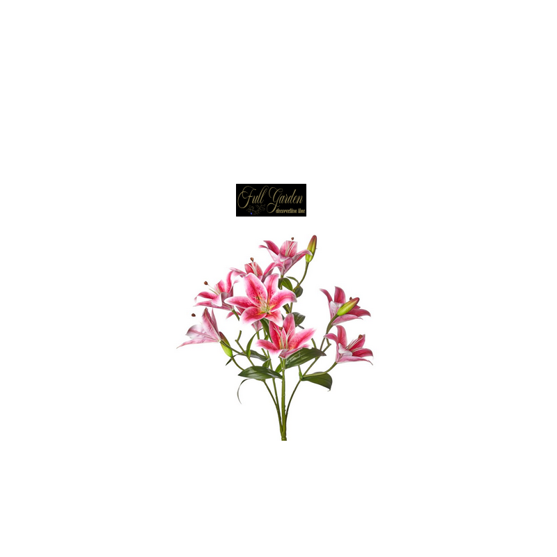 BUSH  LILIUM X9 BEAUTY