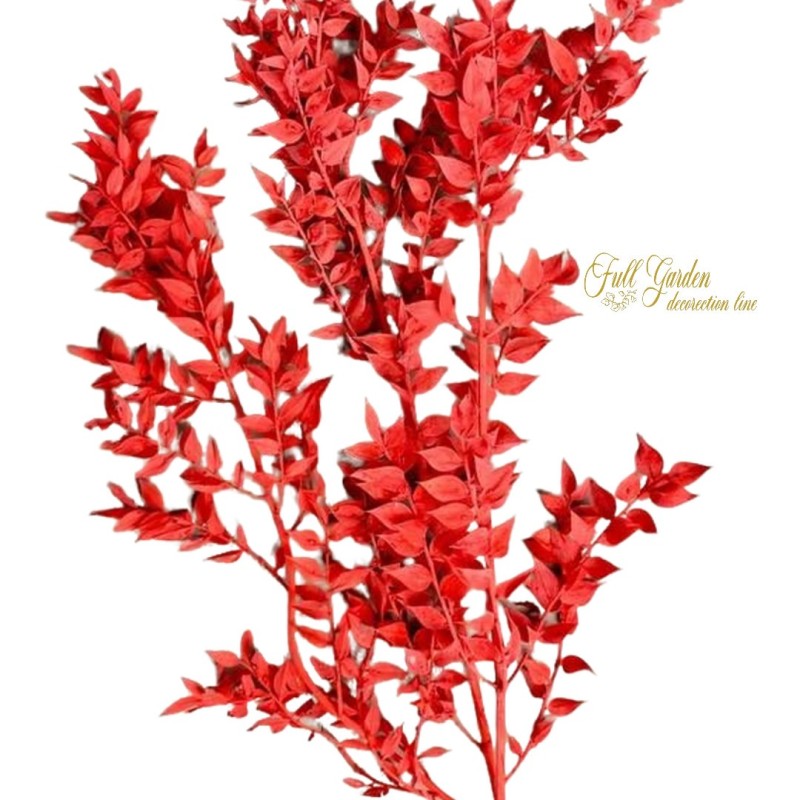 °°°RUSCUS X 200 GR ROSSO SU BIANCO