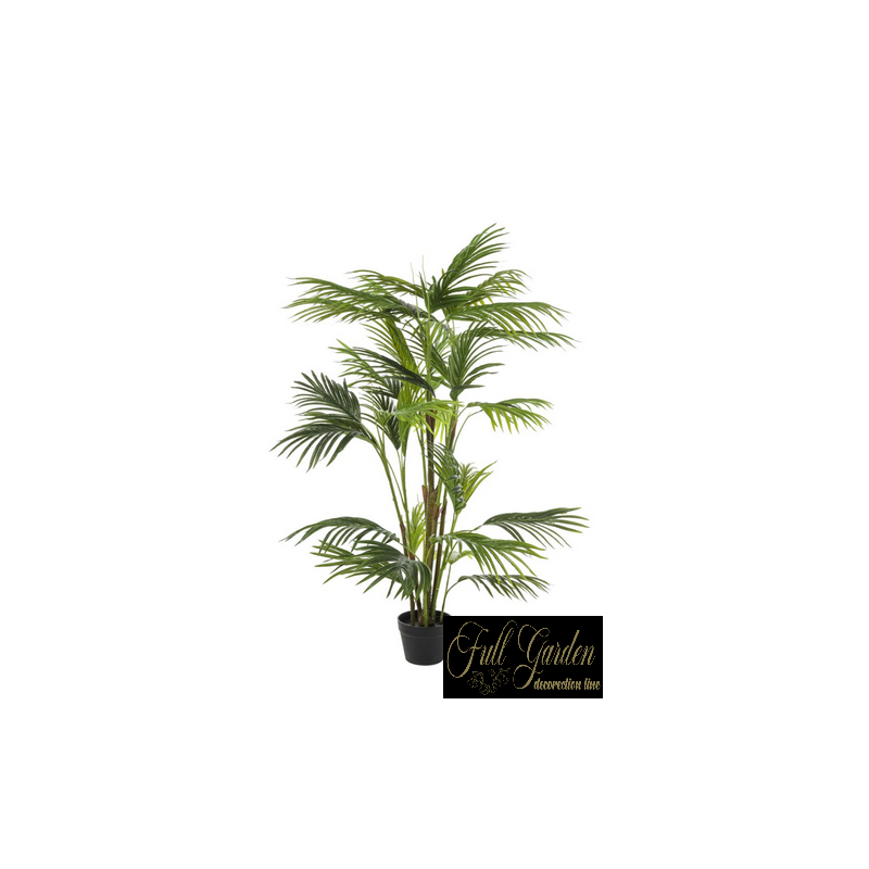 PIANTA ARECA CM.140