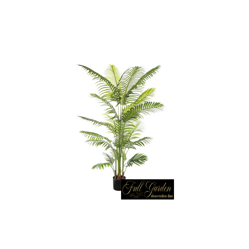 PIANTA ARECA CM 200 23 FOGLIE