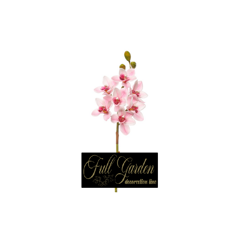 CYMBIDIUM NATURAL TOUCH CM 80 PINK