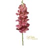 RAMO ORCHIDEA VANDA BURGUNDY