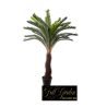 PIANTA CYCAS 40 FAGLIE CM.190