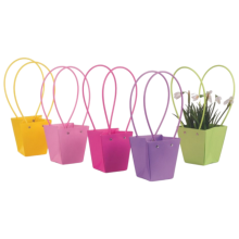 BORSINA MIX COLORATE PZ 10 12X12 H12,5