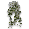MAZZO PETUNIA CADENTE X 7 WHITE