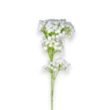 GYPSOFILA GOMMA CM.60